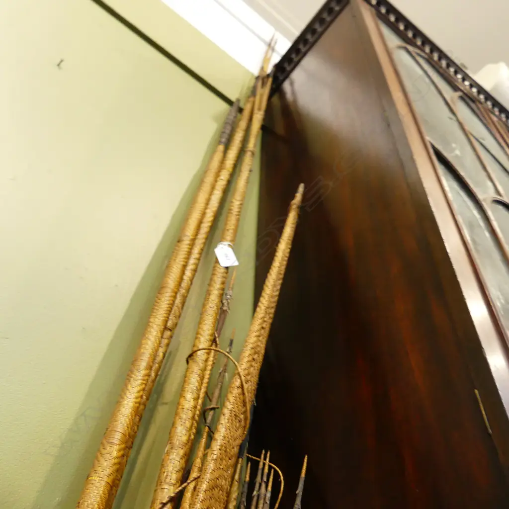 COLLECTION OF PNG / AFRICAN? TRIBAL SPEARS & ARROWS L.2900mm Image 1++