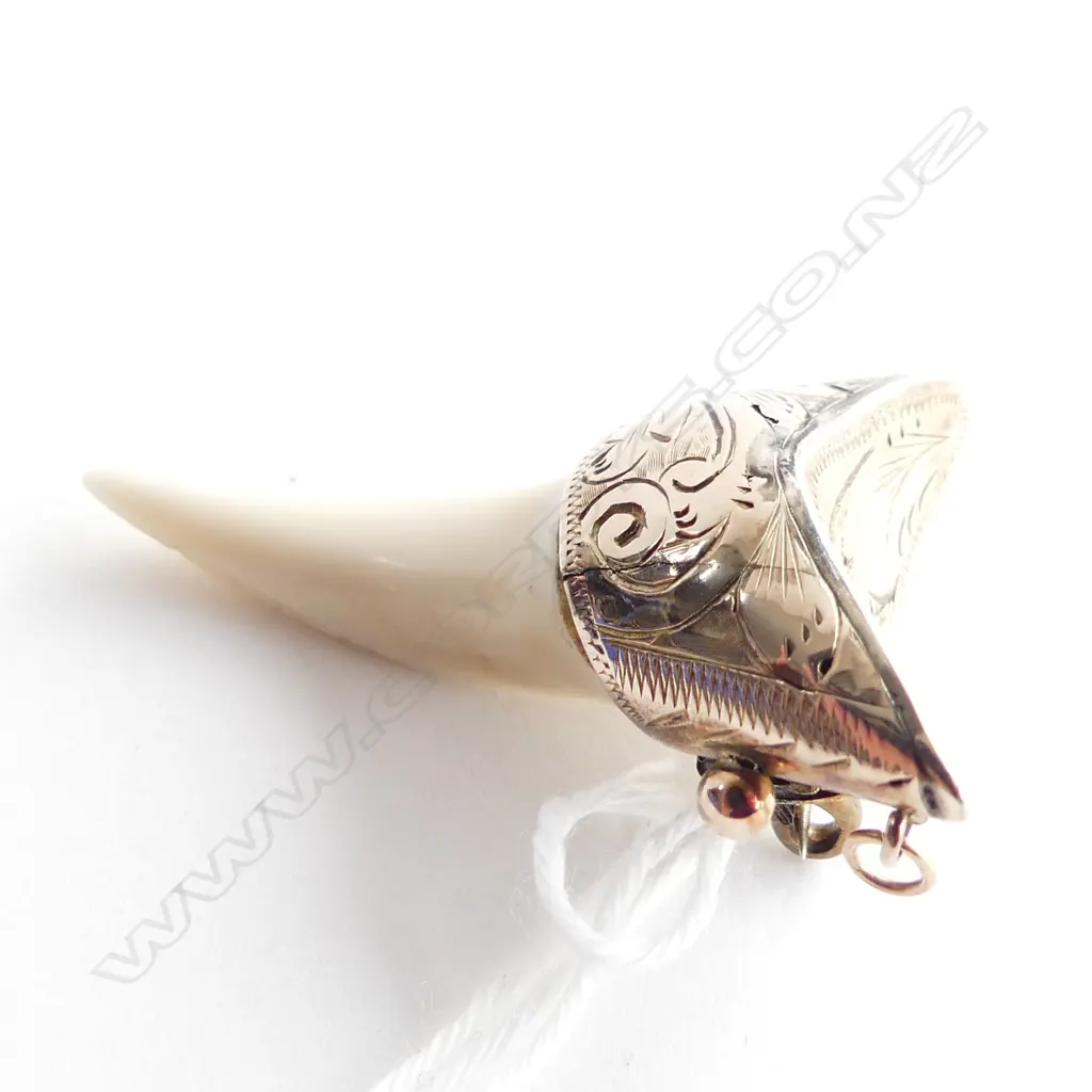 9CT SHARK TOOTH PENDANT BROOCH L.35mm 4.9 GRAMS  Image 1++
