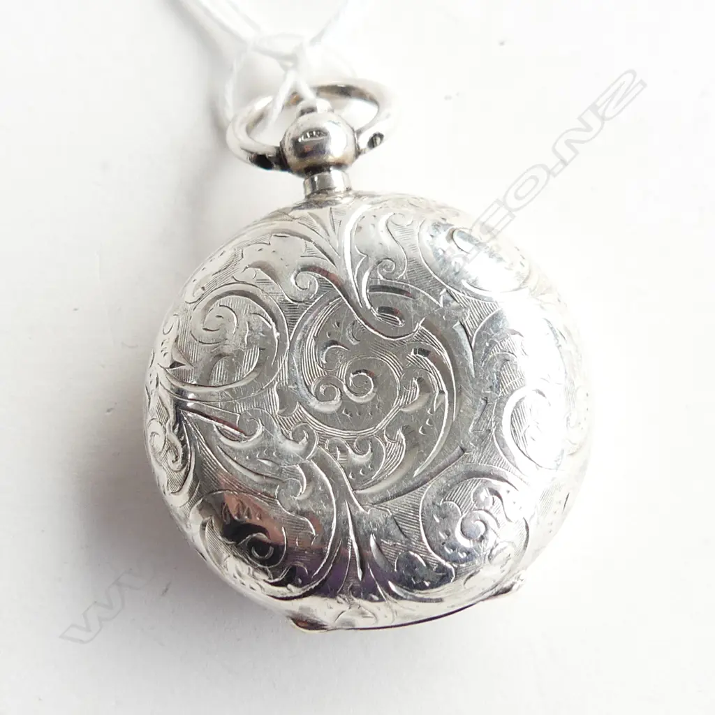 SILVER SOVEREIGN CASE Image 1++