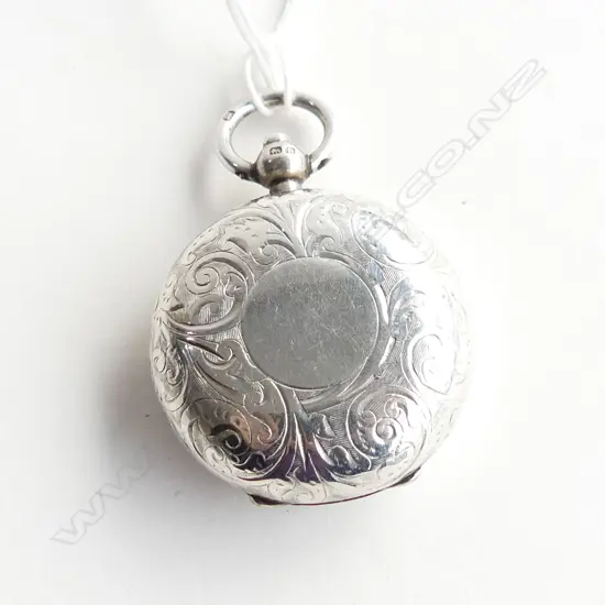 SILVER SOVEREIGN CASE