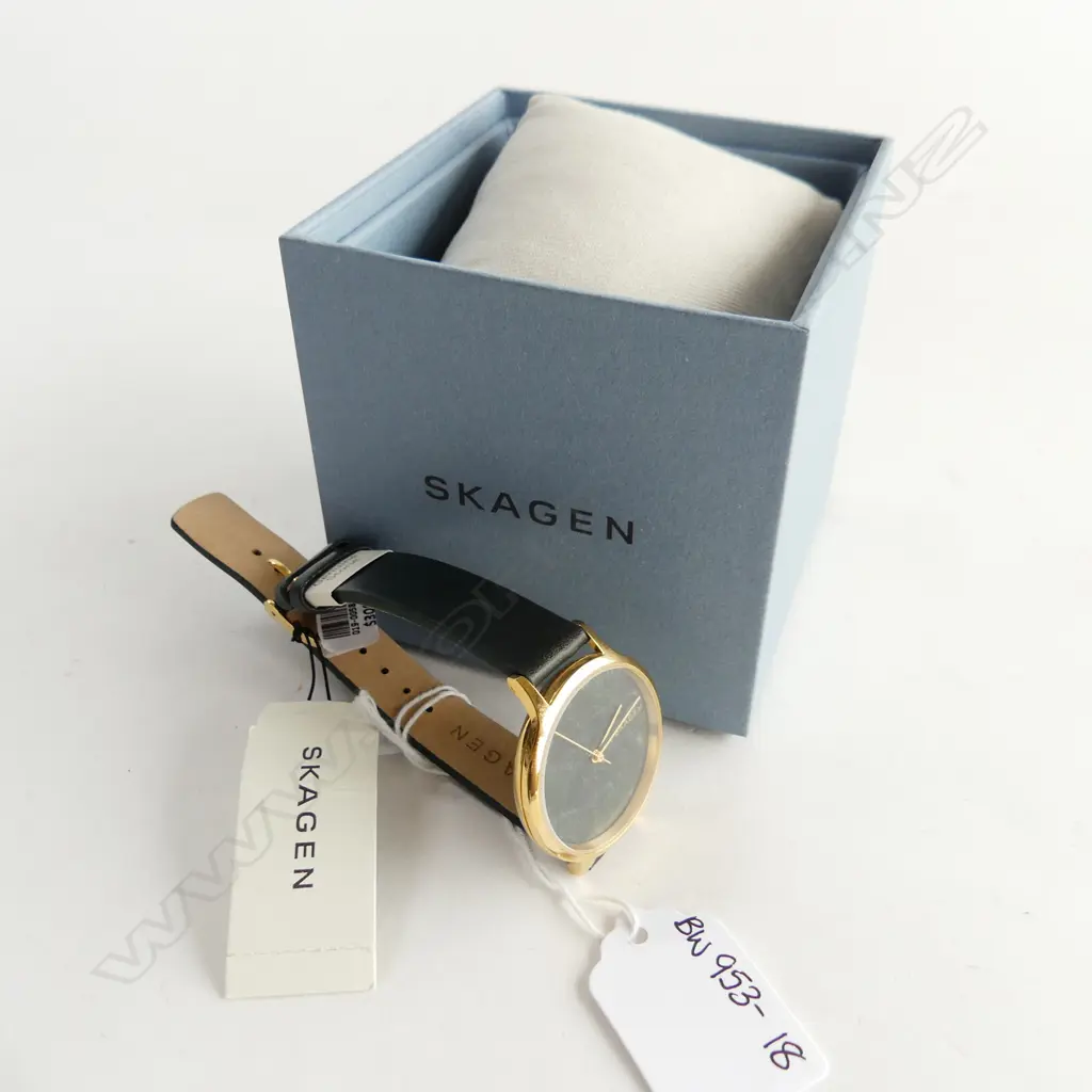 SKAGEN QUARTZ WATCH Image 1++