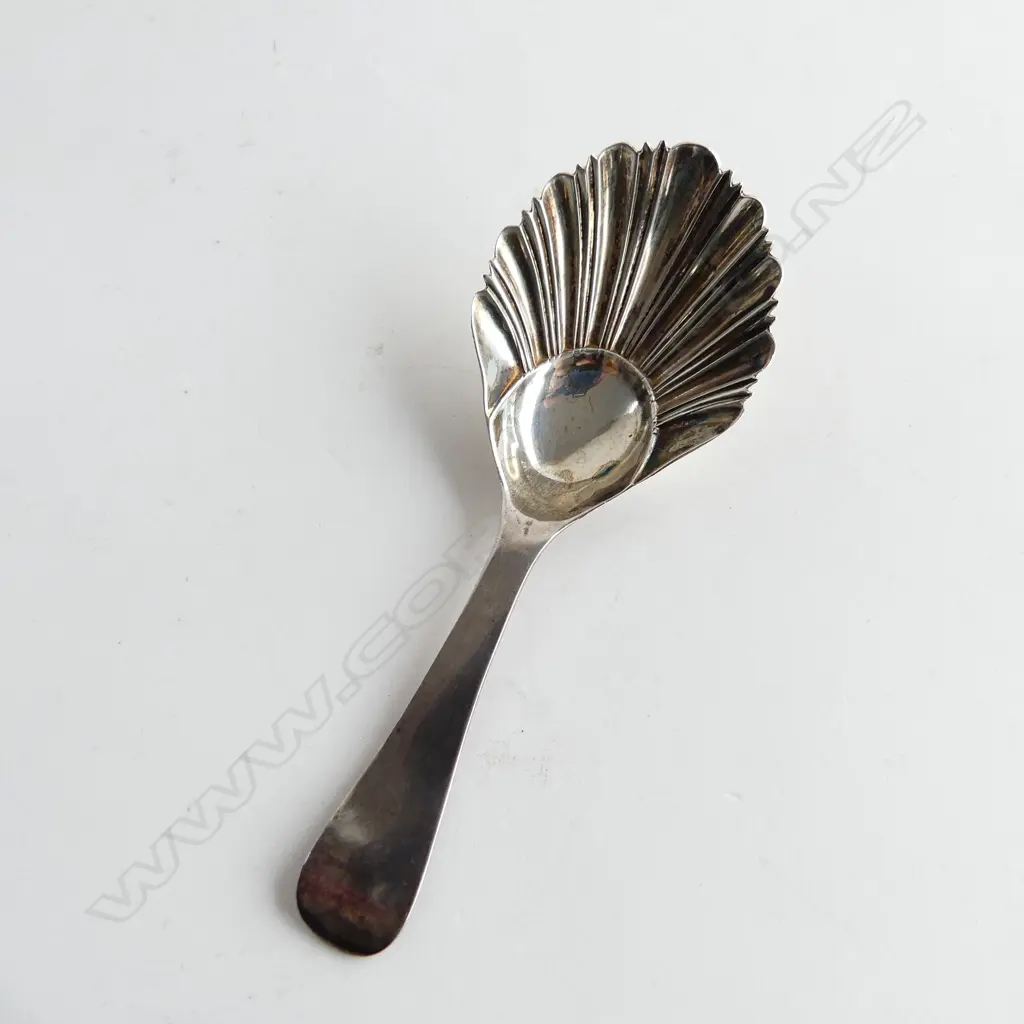EARLY VICTORIAN ST SILVER TEA CADDY SPOON NEWCASTLE 1847 Image 1++