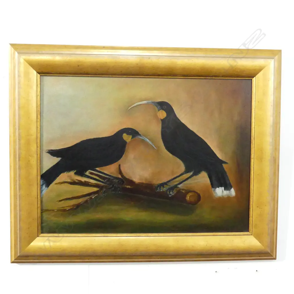 ARTIST UNKNOWN, 2 HUIA BIRDS, OIL ON BOARD, 365 x 495mm Image 1++