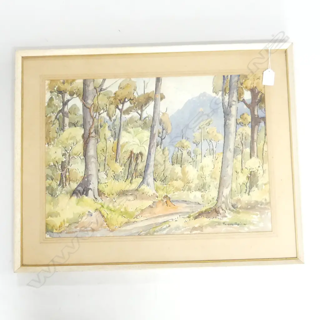 PEGGY SPICER NZ WATERCOLOUR SIGNED Image 1++
