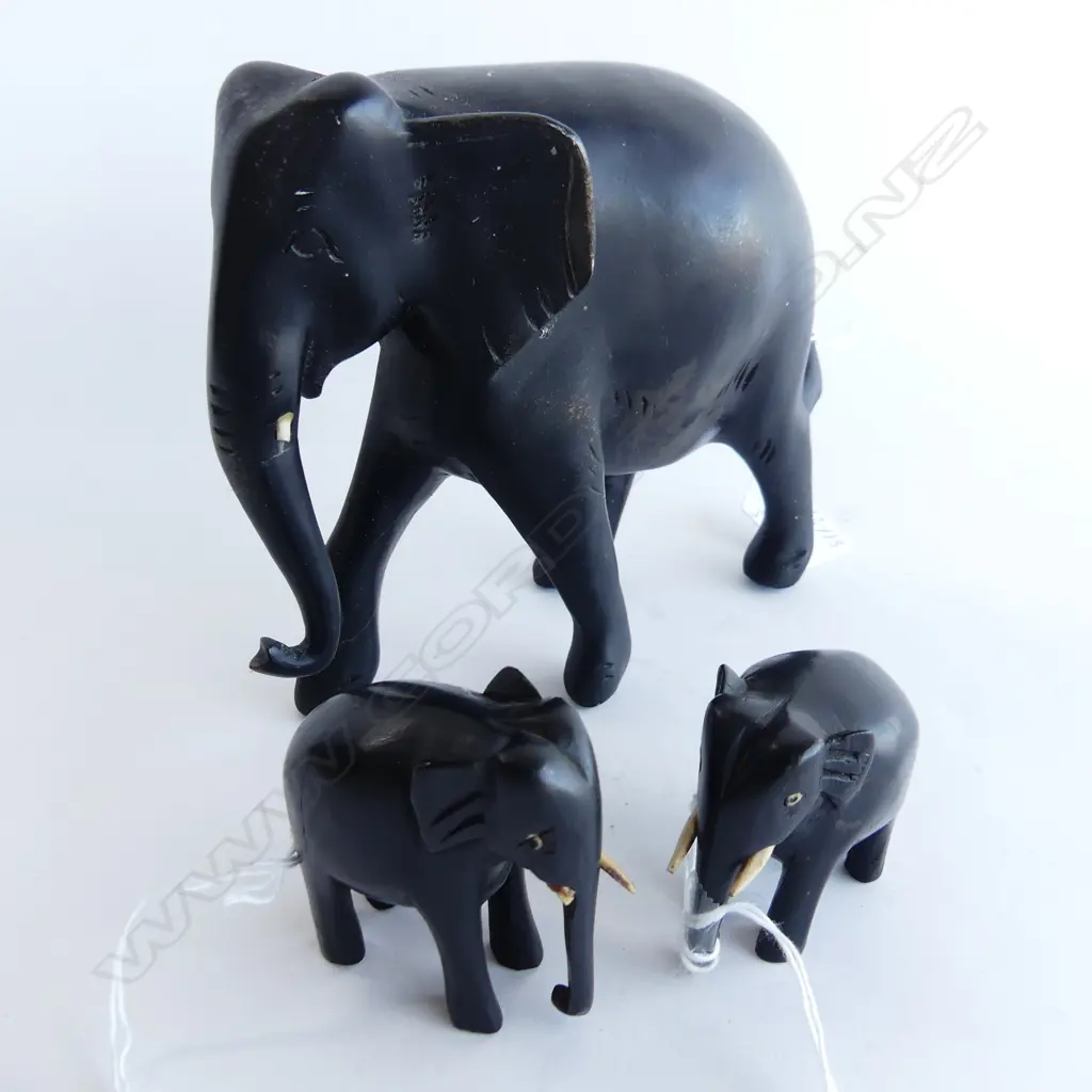 THREE EBONY ELEPHANTS. LARGEST H.150mm SMALLEST H. 55mm. SOME TUSK DAMAGE. Image 1++
