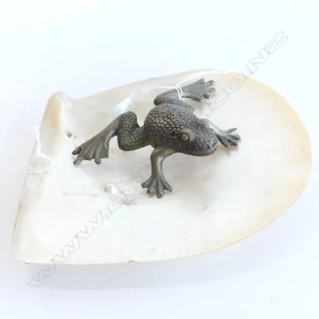 EP FROG ON MOP SHELL Image 1++