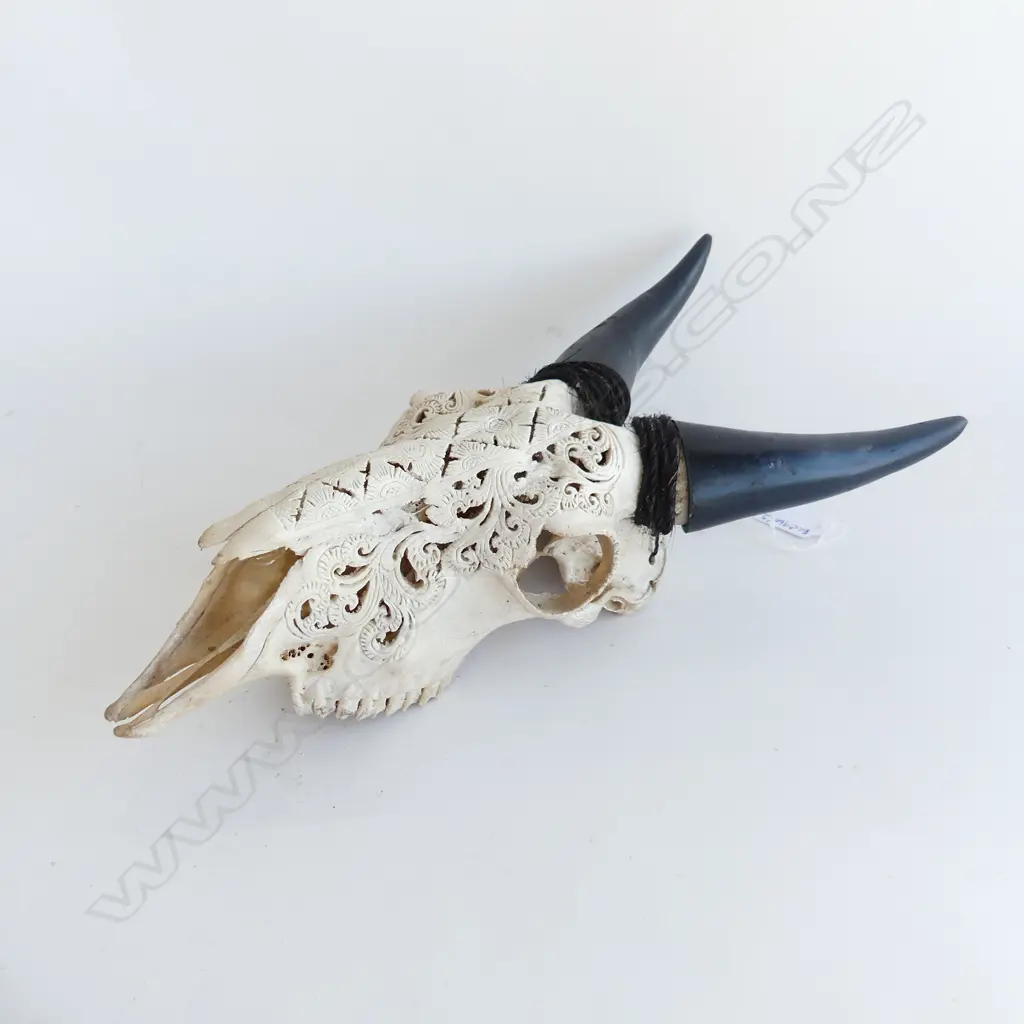 INDONESIAN CARVED HORNED GOAT SKULL H.370mm Image 1++