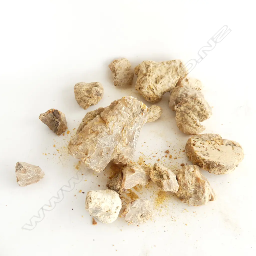 KAURI GUM – QUANTITY OF PIECES IN BAG WEIGHT 1.025KG  Image 1++