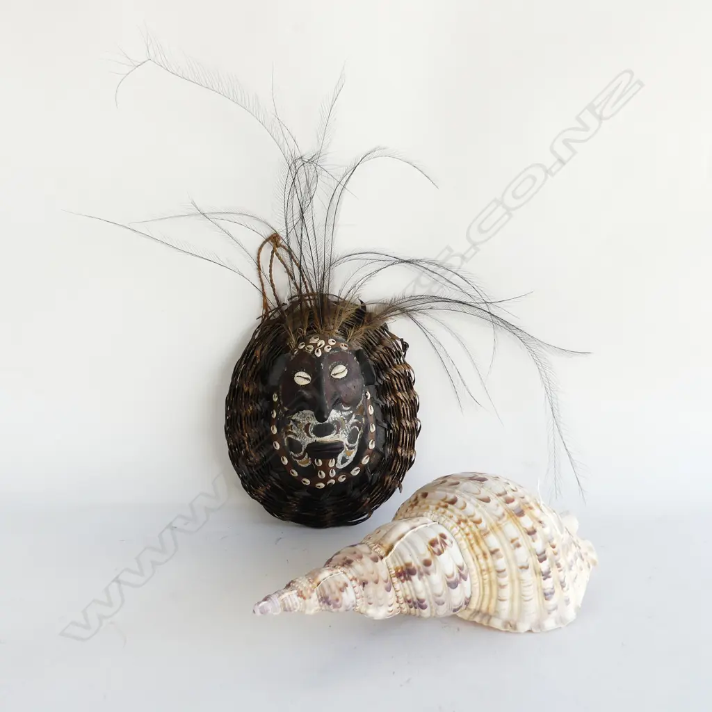 PNG CLAY & TURTLE SHELL MASK  & LG CONCH SHELL (L 300MM) Image 1++