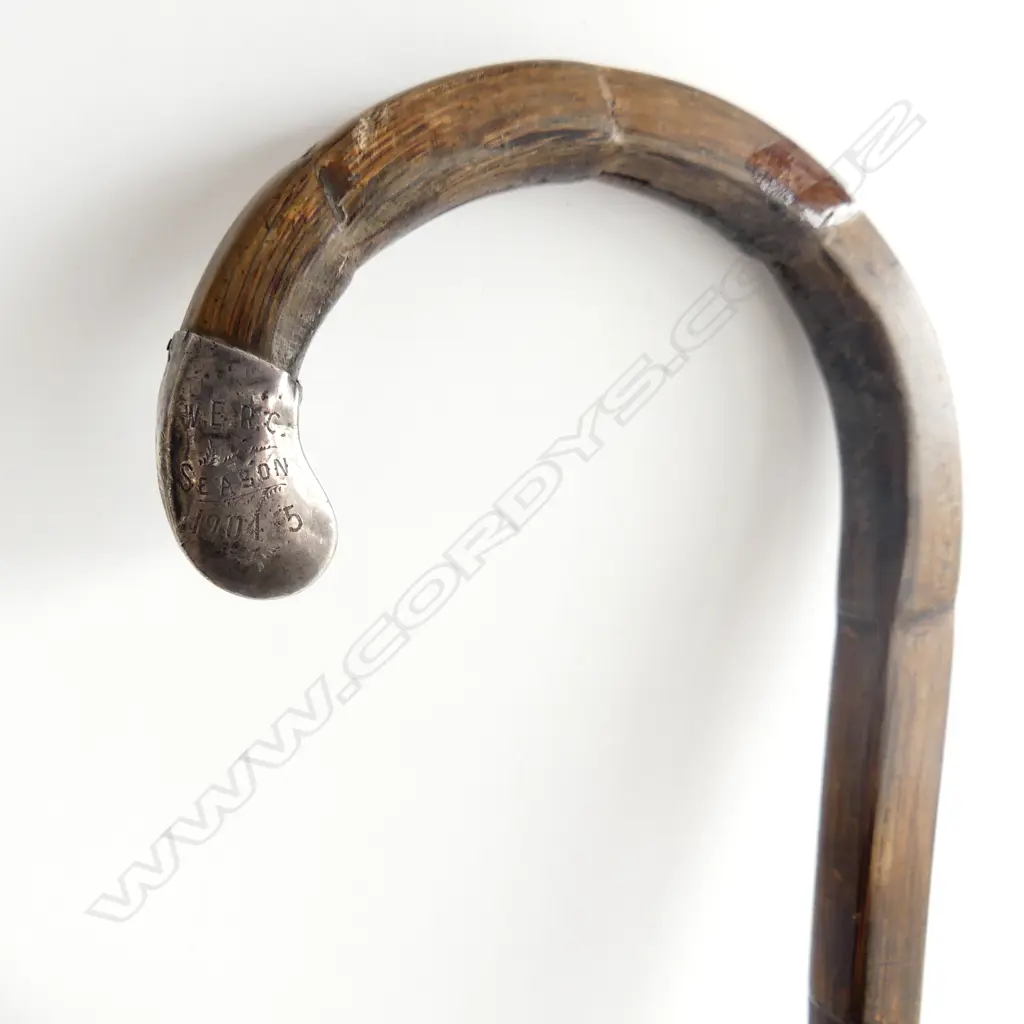 OLD SILVER ENDED WALKING STICK & GRABBER Image 1++