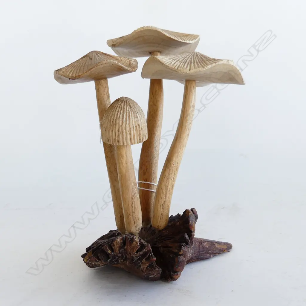DACTYLANTHUS (WOOD ROSE) w. 4 CARVED WOODEN MUSHROOMS H.175mm Image 1++
