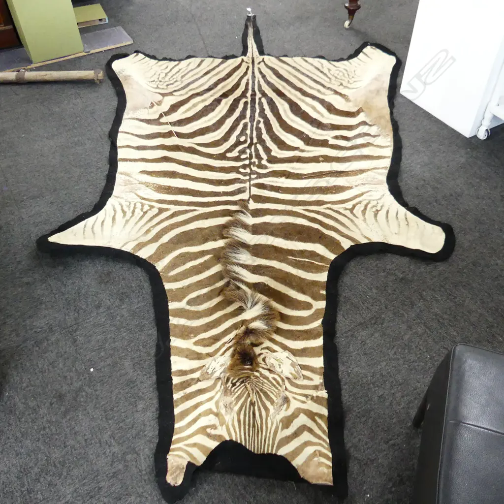 LG ZEBRA RUG 3200x1650mm Image 1++