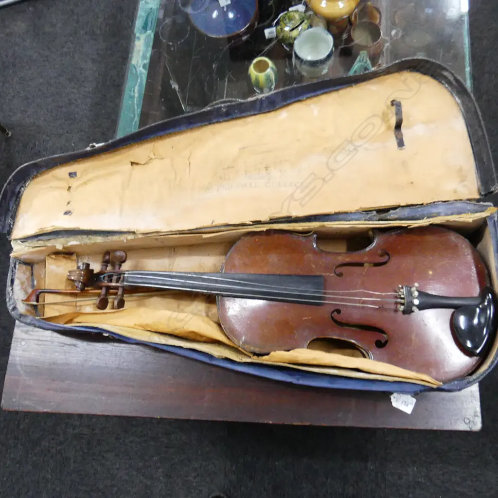 CASED VIOLA - FAULTED Image 1++