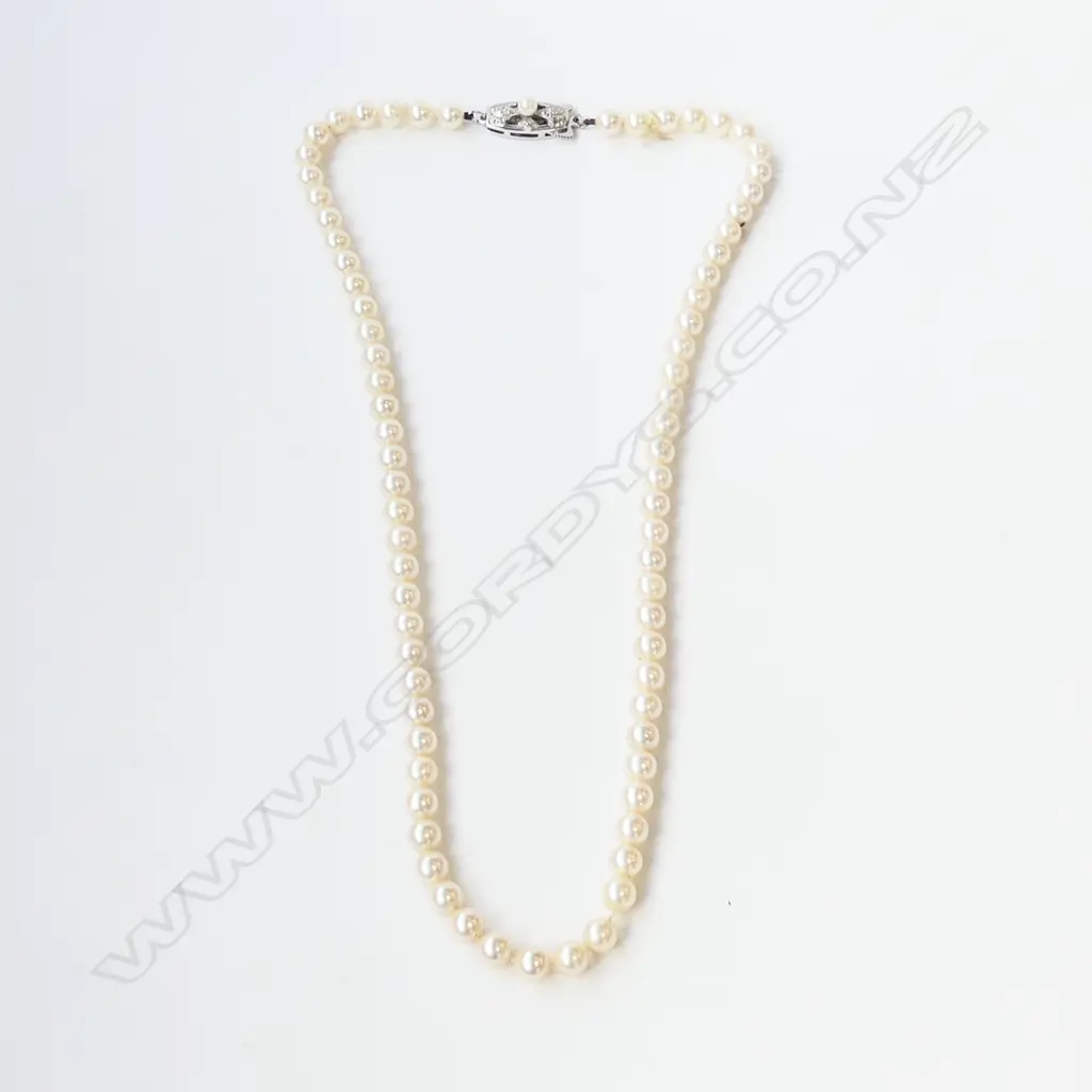 MIKIMOTO STRAND OF CULTURED PEARLS SILVER CLASP 42CM LONG Image 1++