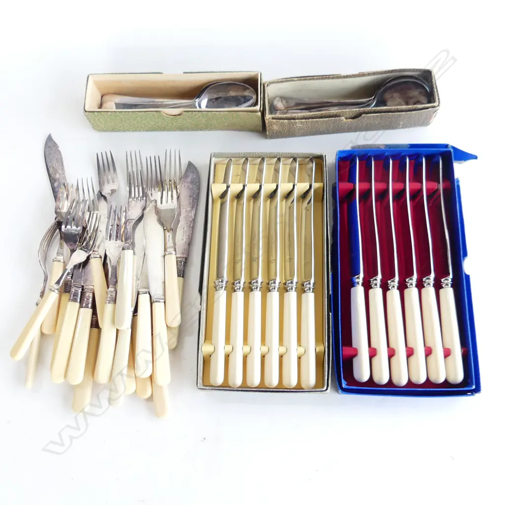 ASST. IVORINE 'BONE HANDLED' KNIVES; 2 BOXED SETS, FISH SET ETC Image 1++