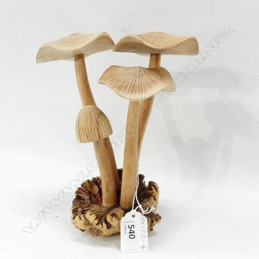 DACTYLANTHUS (WOOD ROSE) w. 4 CARVED WOODEN MUSHROOMS H.190mm Image 1++
