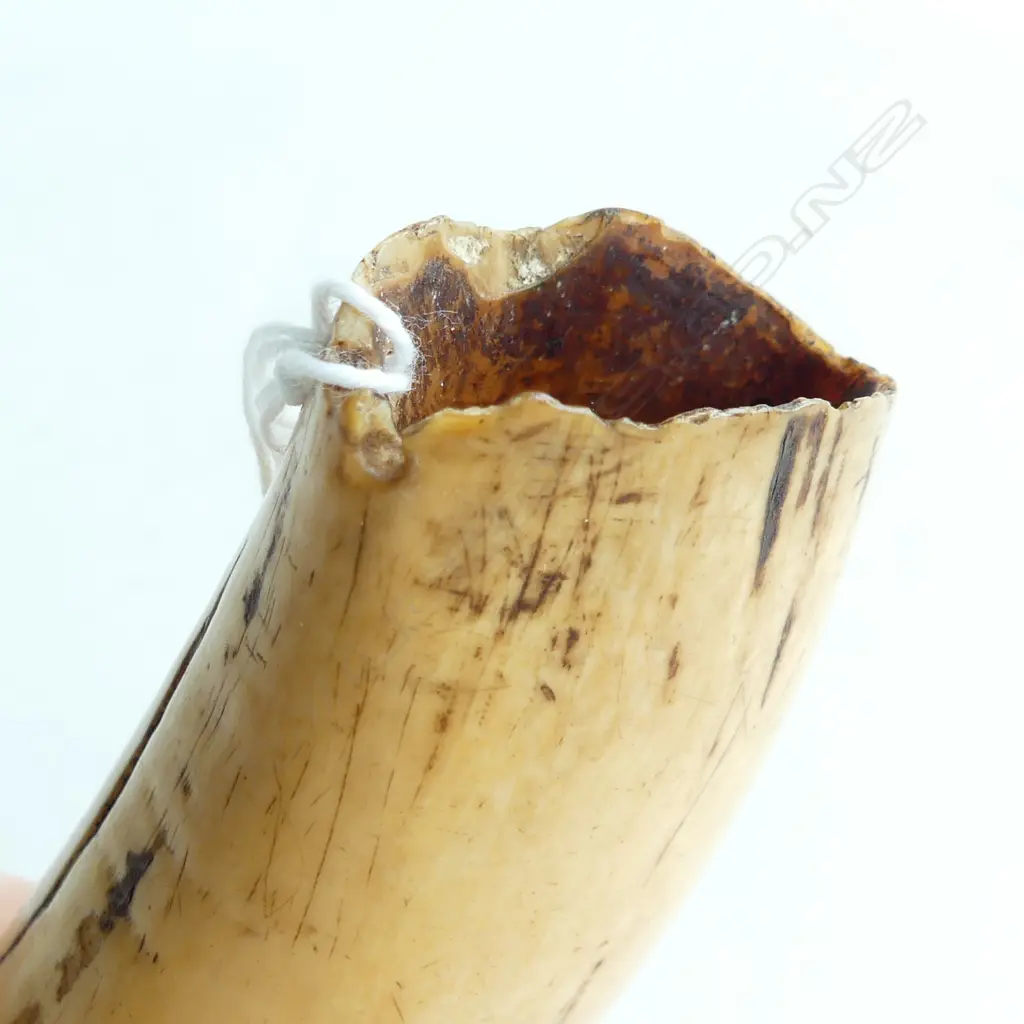 OLD FIJIAN TABUA  L.145mm with staining Image 1++