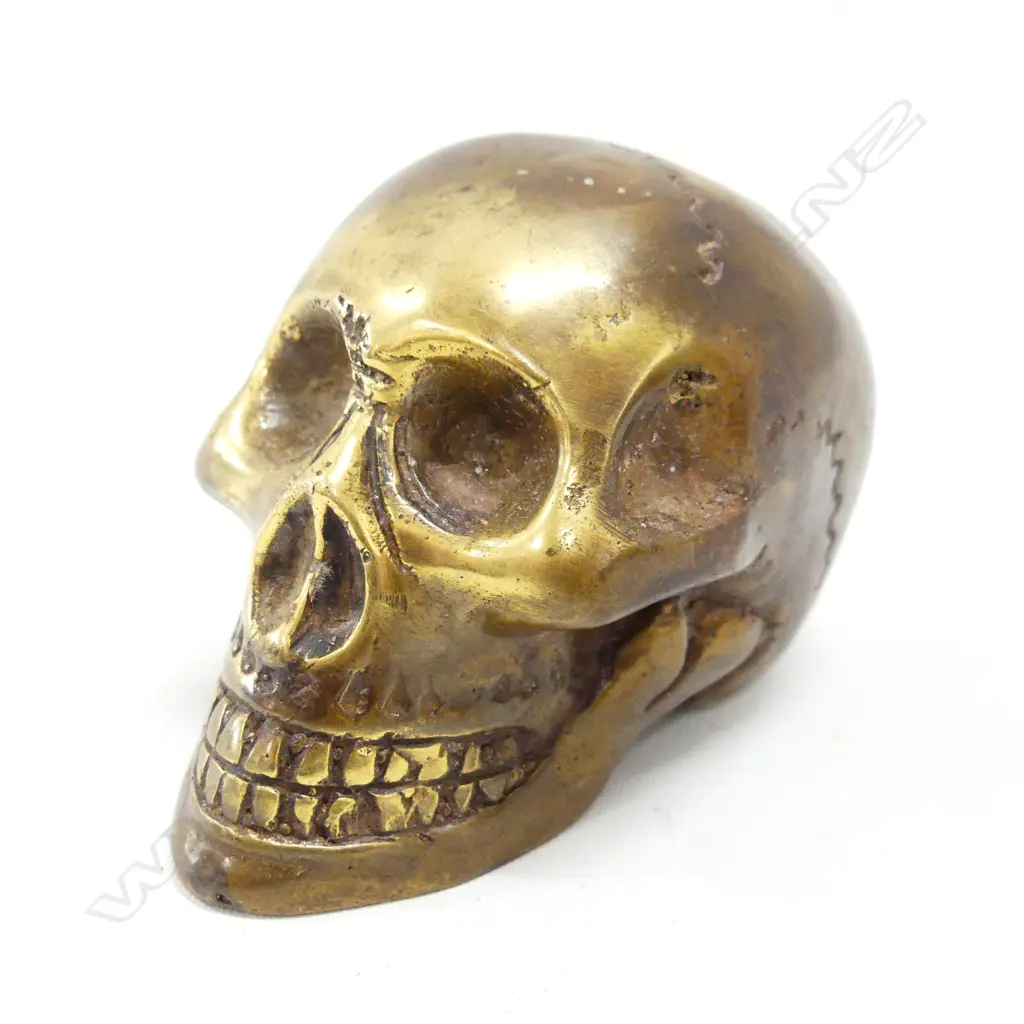 BRASS SKULL H. 55 L 85mm Image 1++