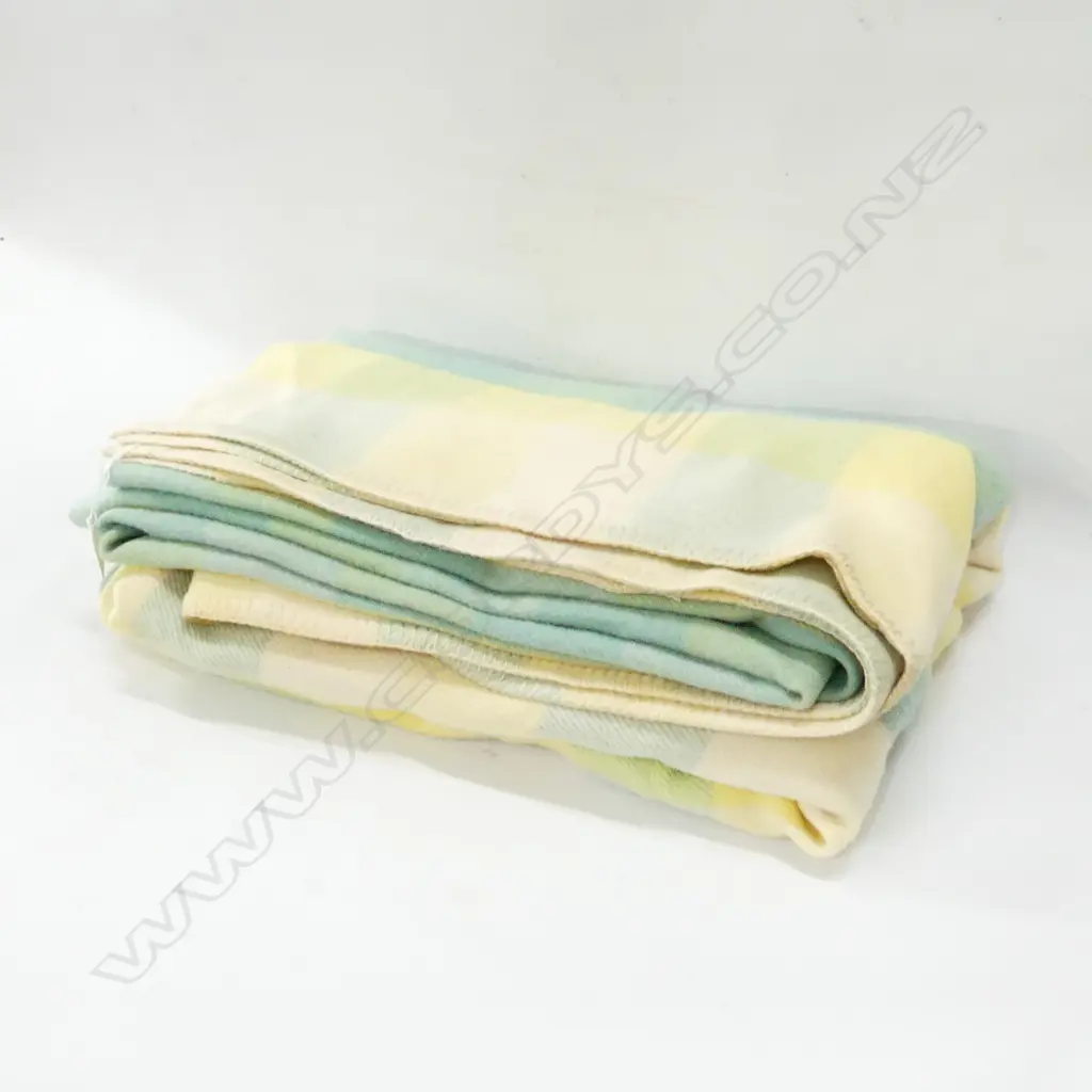 KAIAPOI PALE CHECK WOOLLEN BLANKET Image 1++