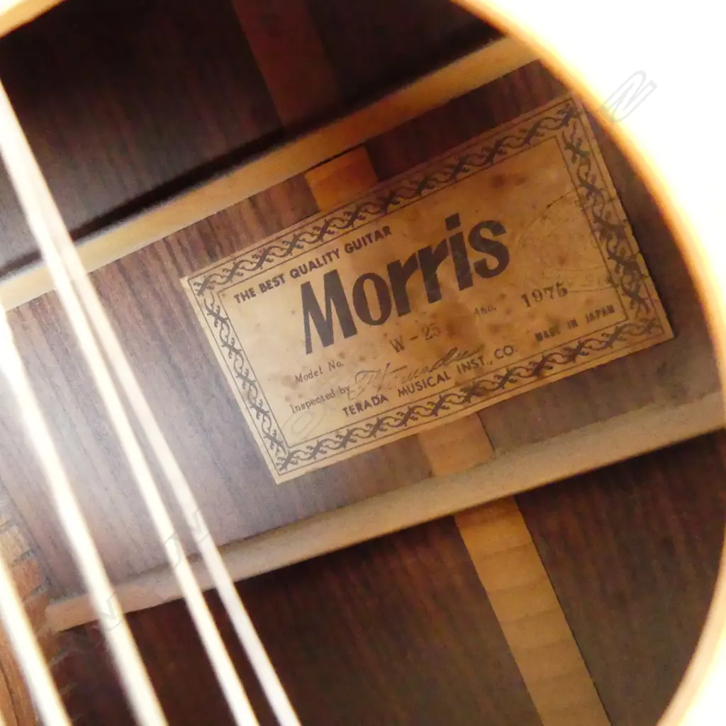 VINTAGE JAPANESE MORRIS ACOUSTIC GUITAR Image 1++