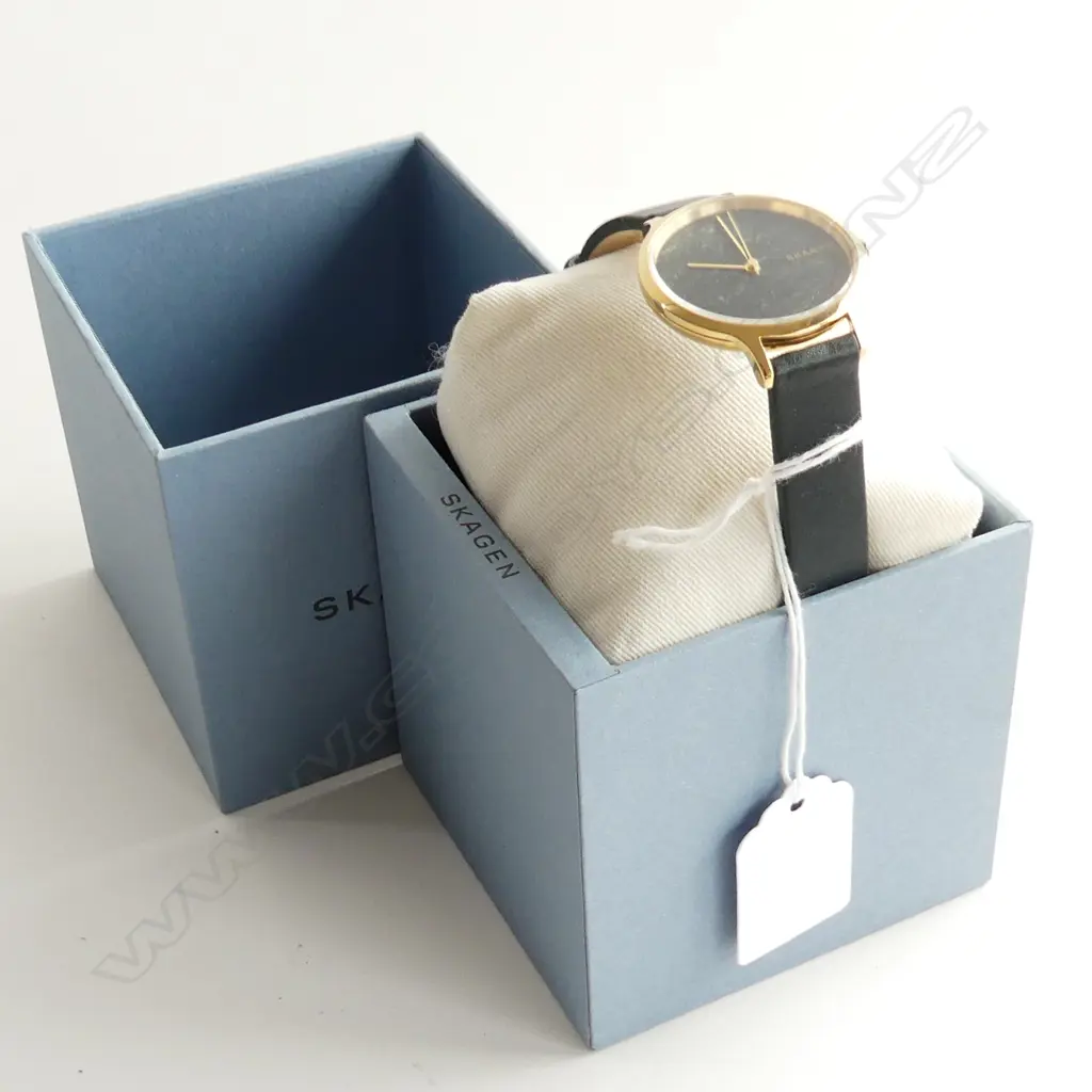 SKAGEN WATCH, NEW, WORKING, IN ORIGINAL BOX Image 1++