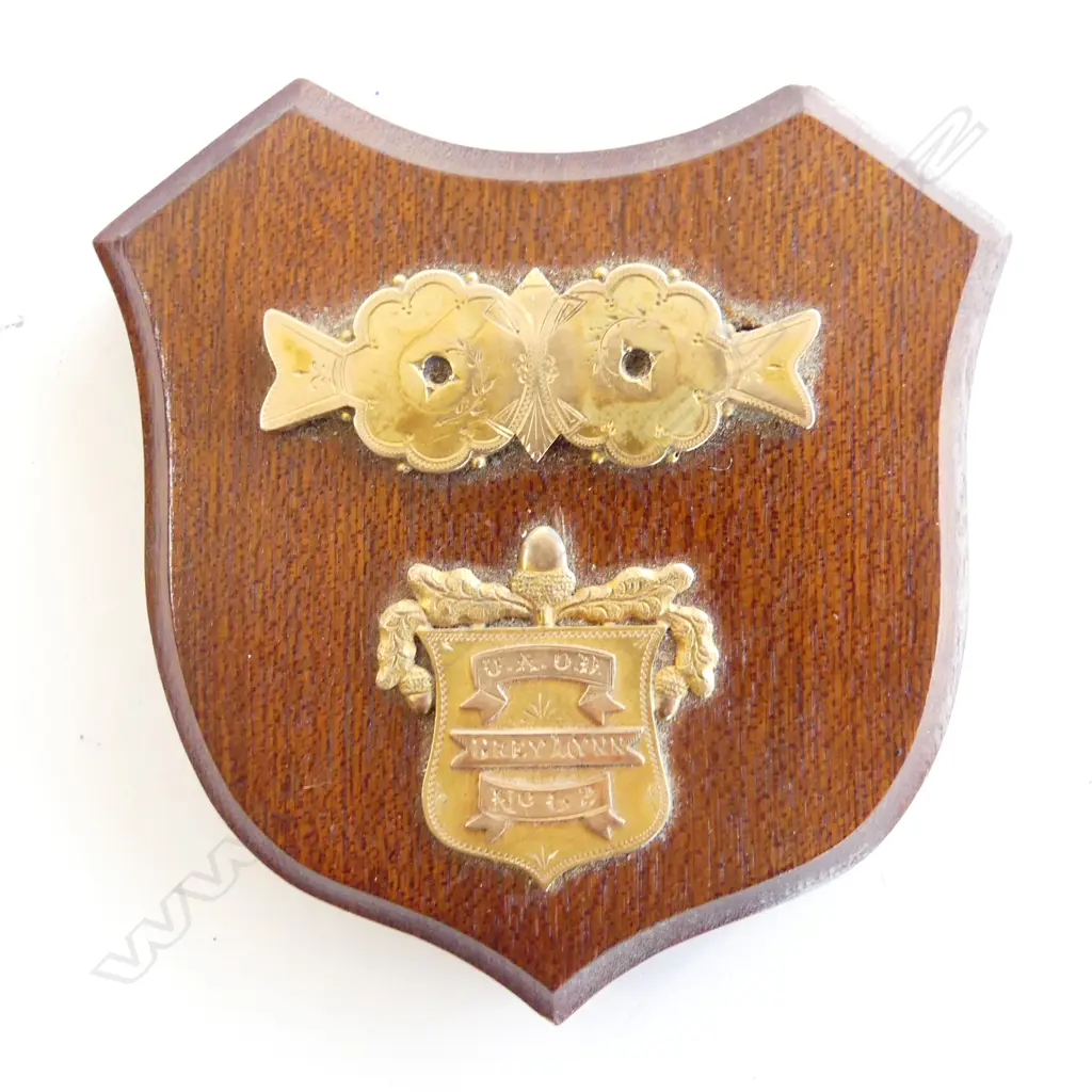 2 9CT GOLD BADGES MOUNTED ON SMALL MAHOGANY SHIELD 95x95mm Image 1++
