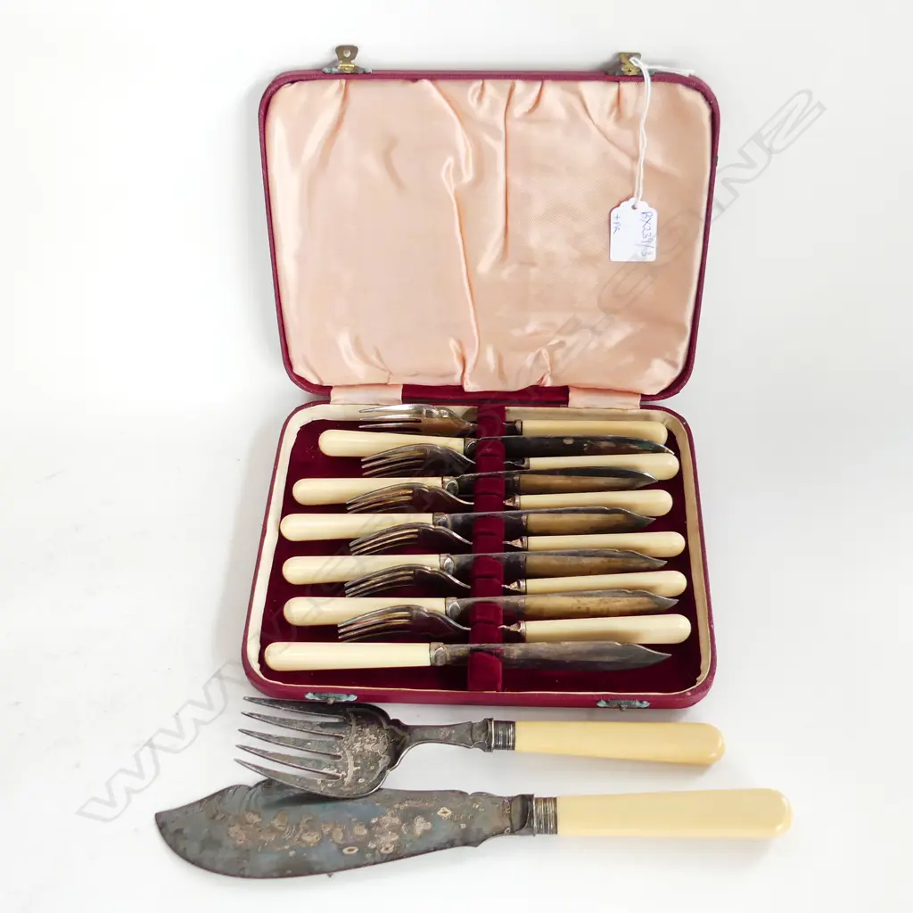 CASED 12 PCE IVORINE HANDLED FISH SET + SERVING KNIFE & FORK Image 1++
