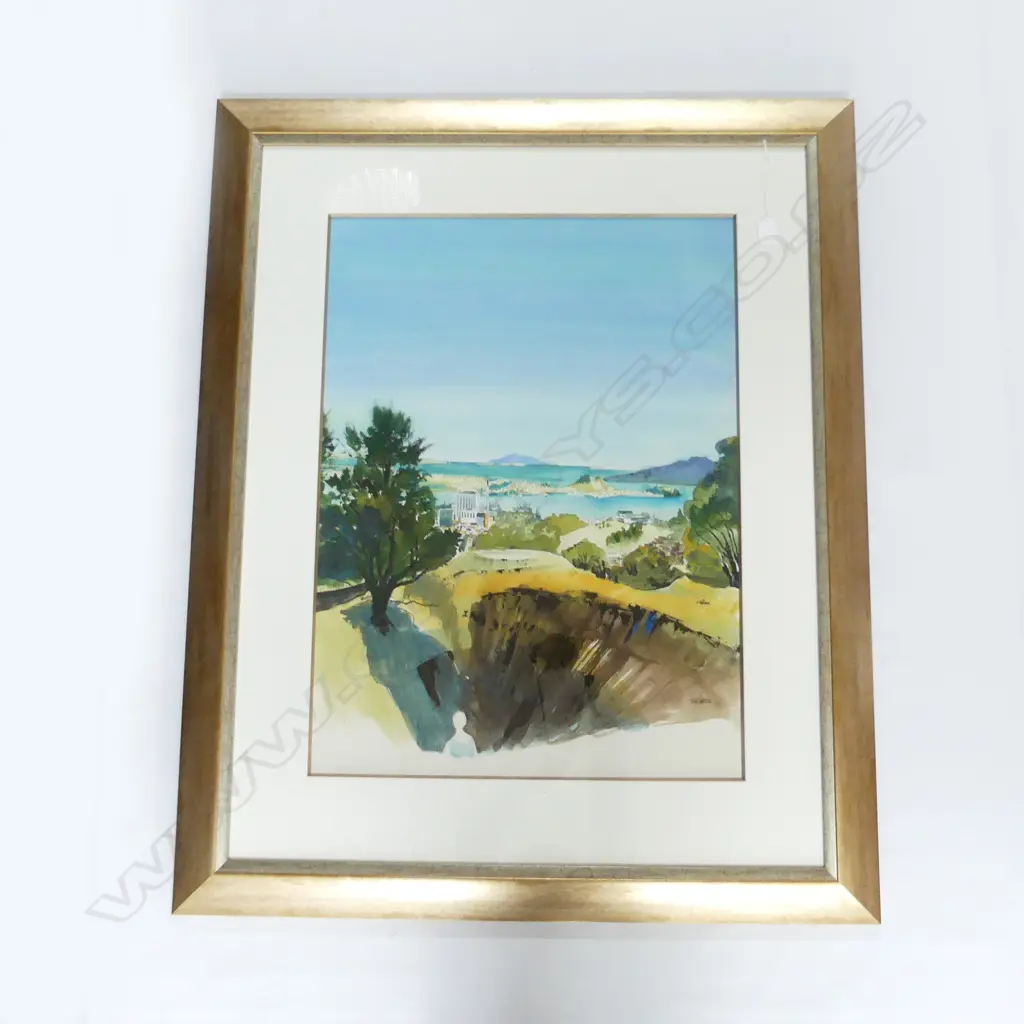 JOHN CASTLE LGE W/C MT EDEN EXTENSIVE LANDSCAPE 725 x 530mm Image 1++