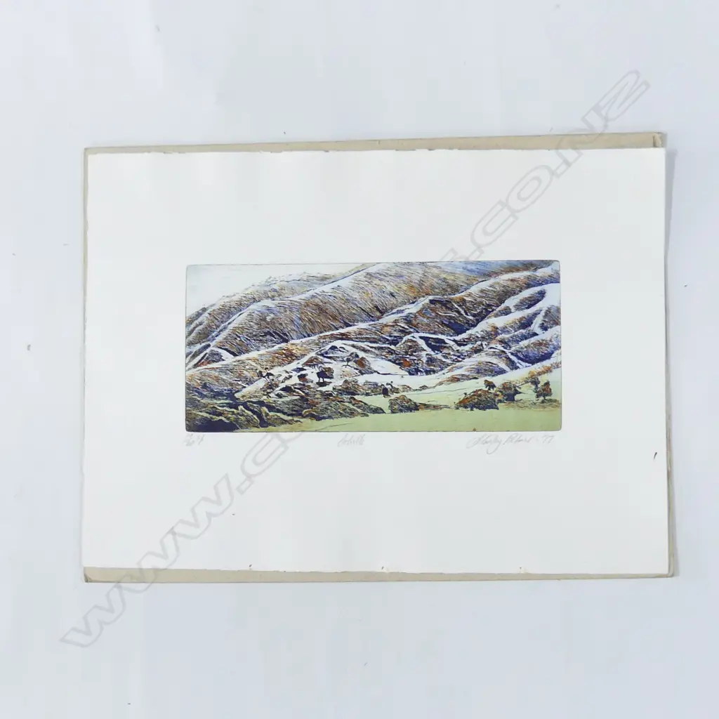 STANLEY PALMER BAMBOO ETCHING 'COLVILLE' SIGNED & DATED '77 19/60 150x335mm UNFRAMED Image 1++