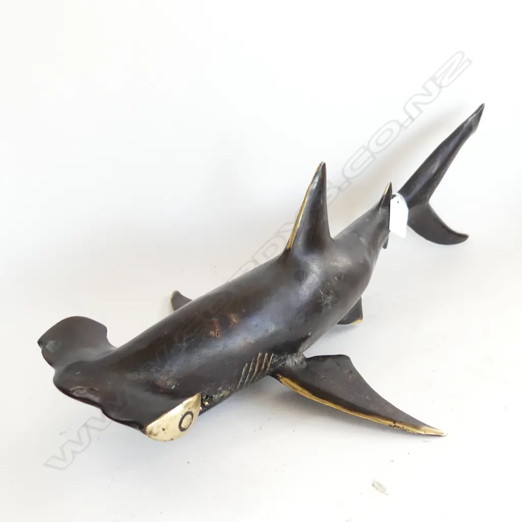 BRONZE HAMMER HEAD SHARK L.470mm Image 1++