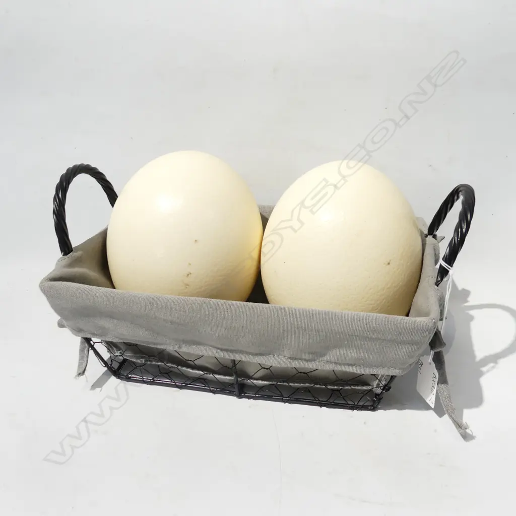 WIRE BASKET WITH 2 OSTRICH EGGS Image 1++
