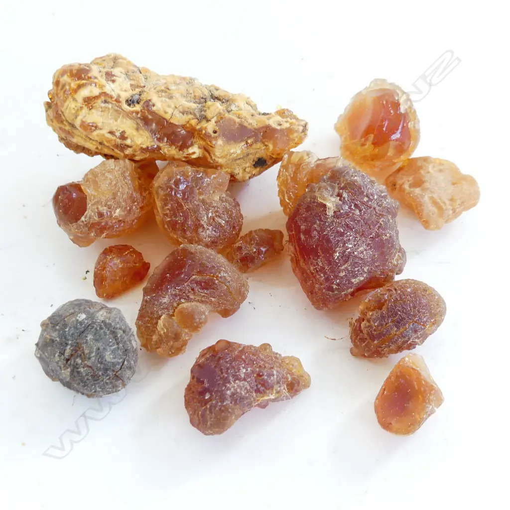 BAG KAURI GUM NUGGETS - 92GMS Image 1++