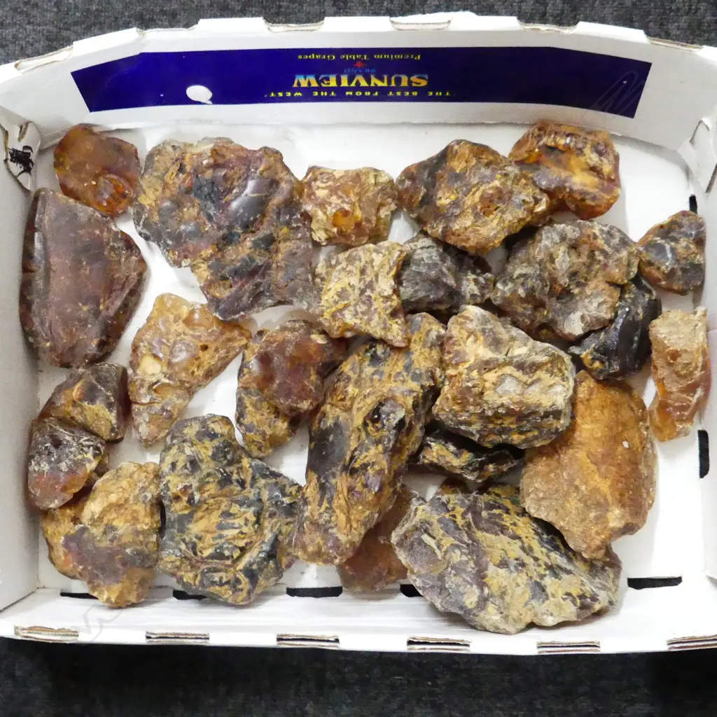 BIG BOX LOT KAURI GUM NUGGETS, APPROX 6KG Image 1++