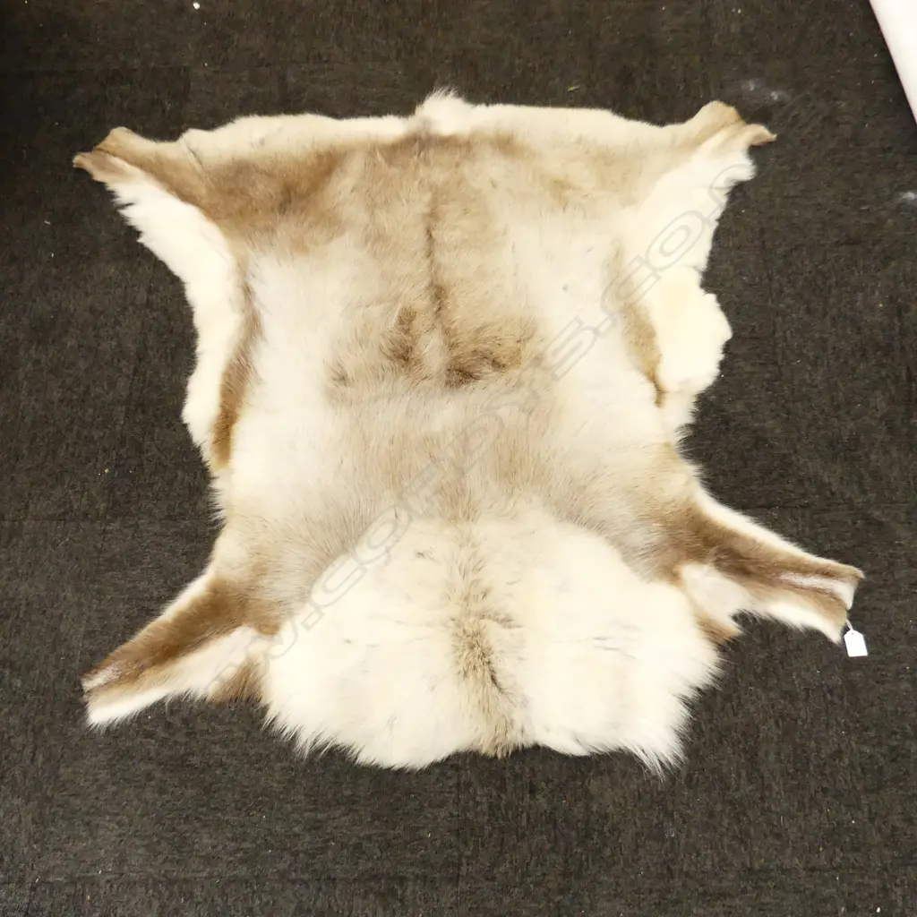 REINDEER HIDE 1200x1100mm Image 1++