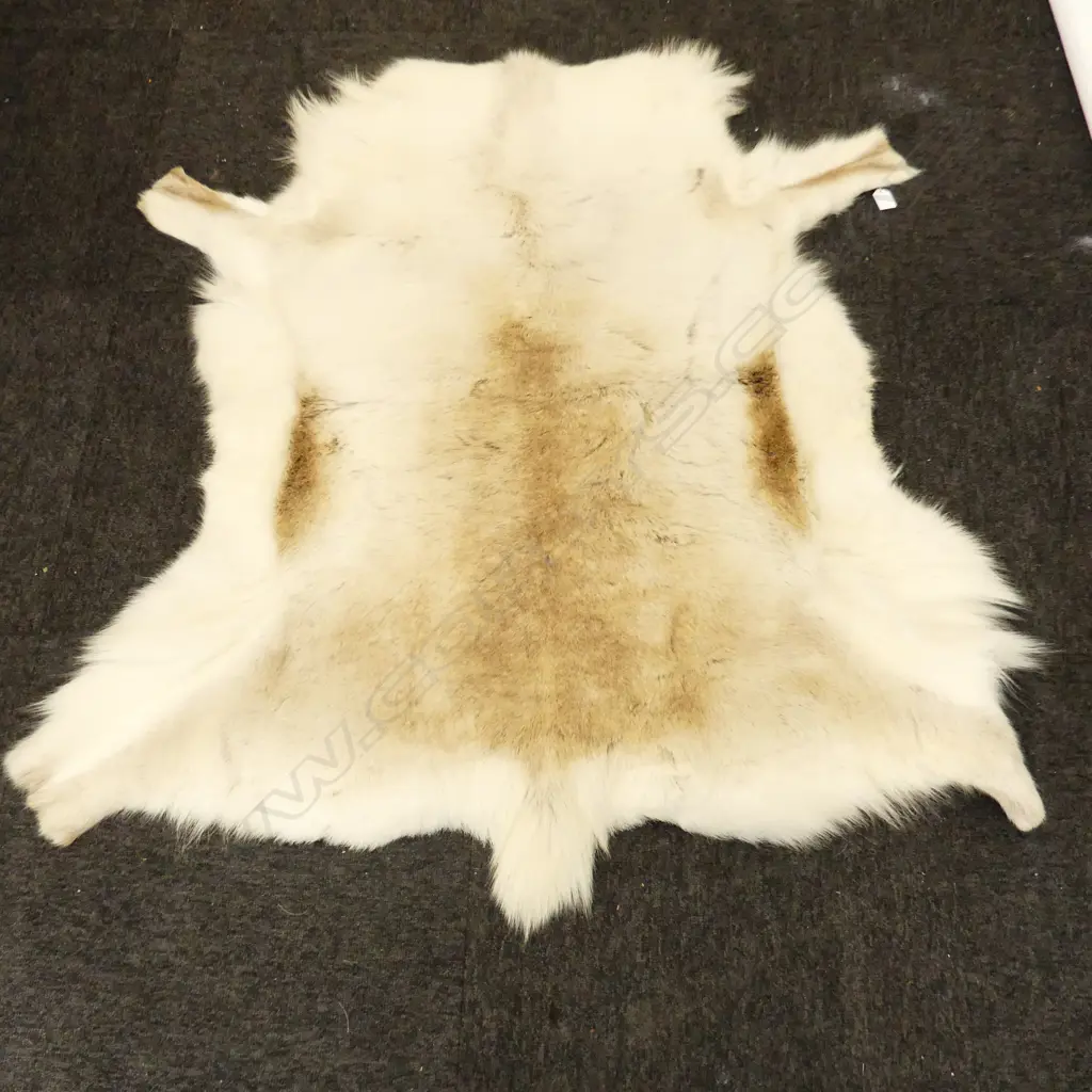 REINDEER HIDE RUG 1200x1100mm Image 1++