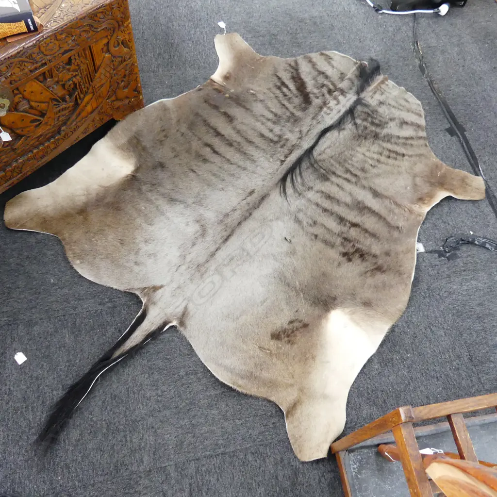 ANIMAL HIDE RUG 1900x1350mm Image 1++