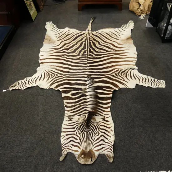 LG AFRICAN ZEBRA SKIN RUG 2900X1950mm