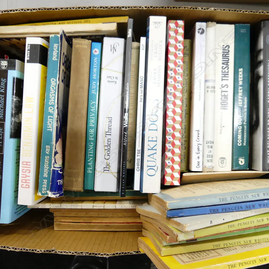 BOX LOT ASST BOOKS; NOVELS ETC Image 1++