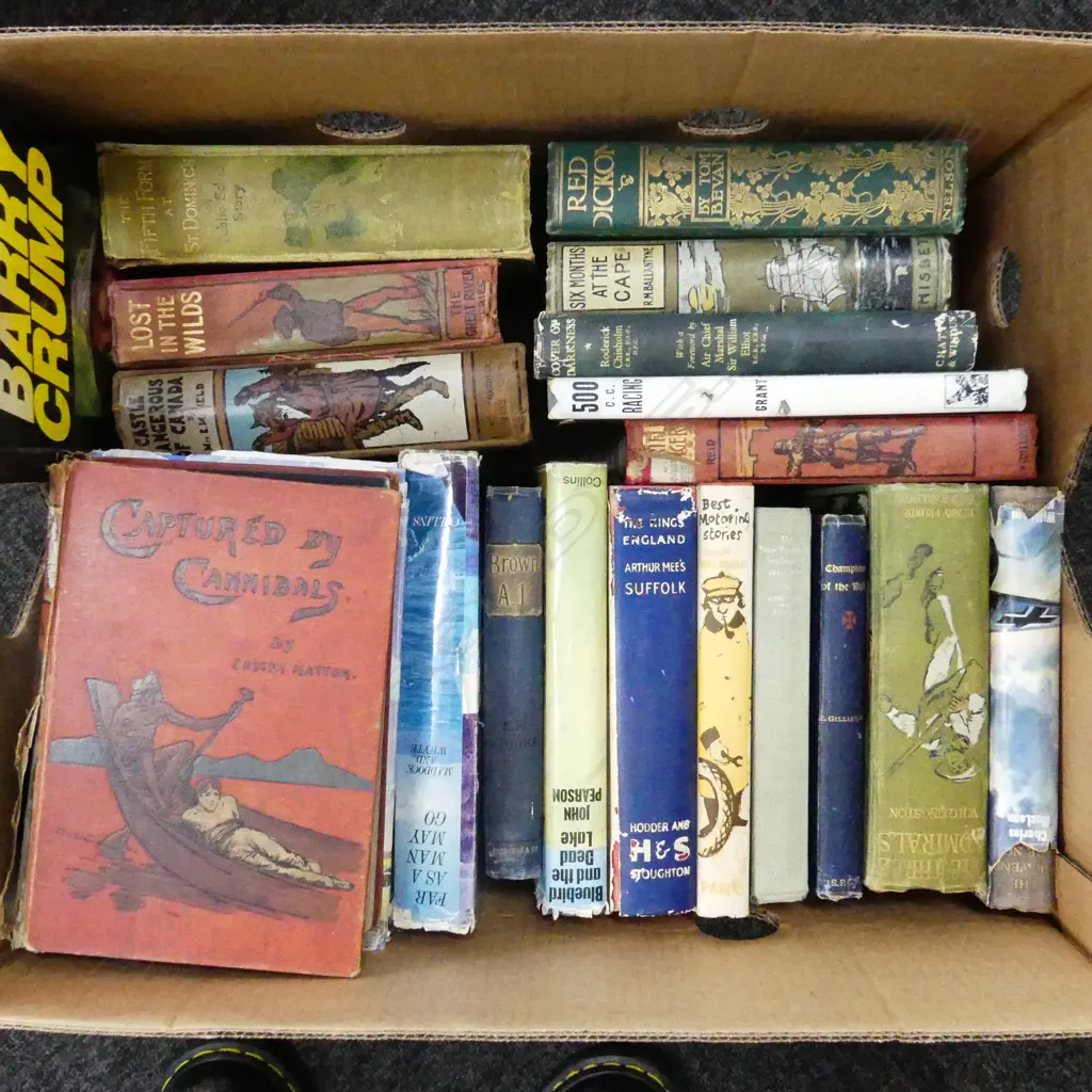 BOX LOT ASST. VINTAGE NOVELS ETC Image 1++