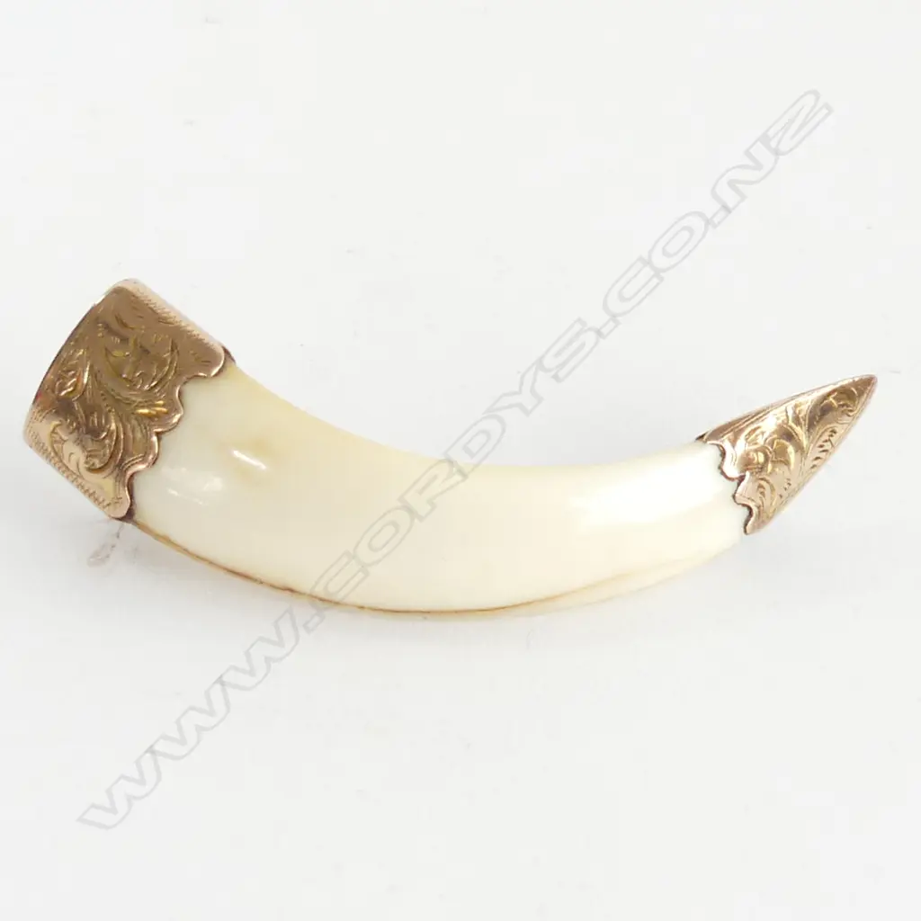  LARGE GOLD MOUNTED TUSK BROOCH7.5CM. Image 1++
