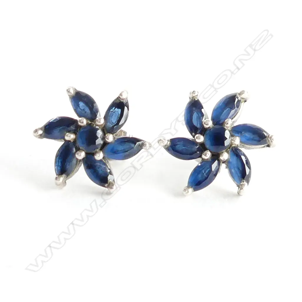 IOLITE CLUSTER & SILVER STUD EARRINGS Image 1++