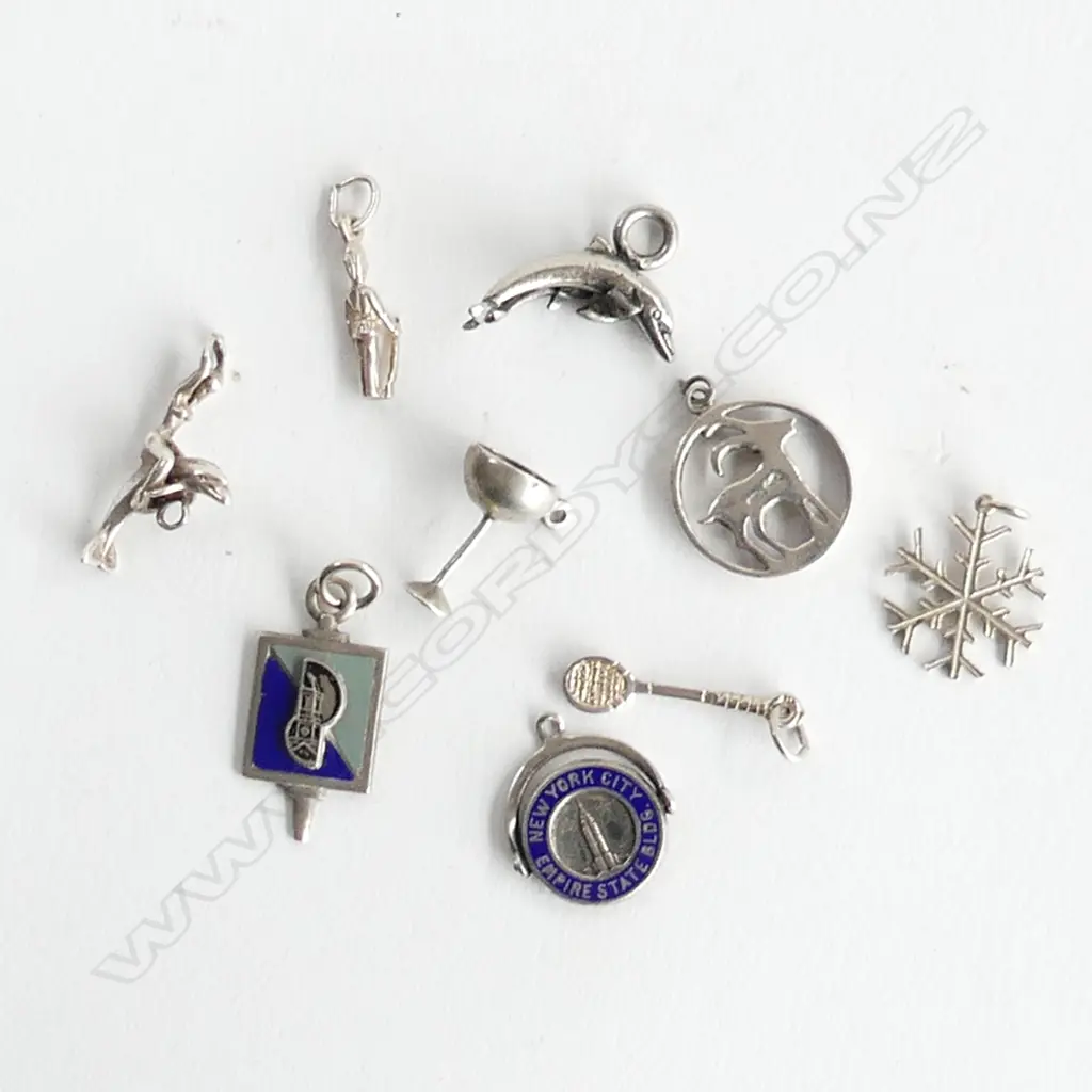  9 SILVER CHARMS Image 1++