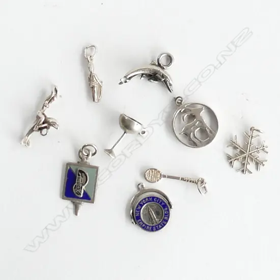  9 SILVER CHARMS