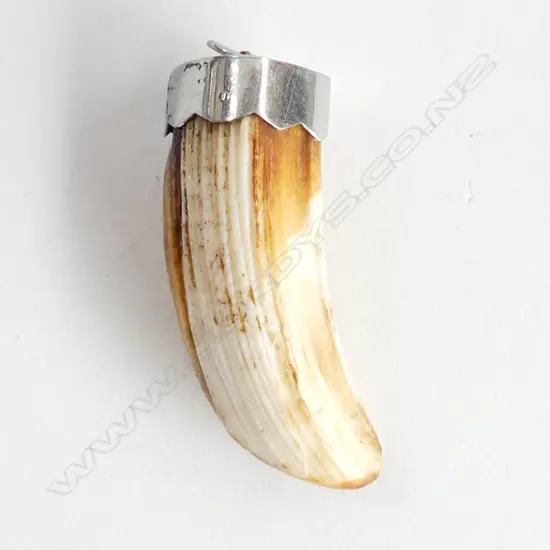  LARGE MOUNTED TUSK PENDANT, 6CM.