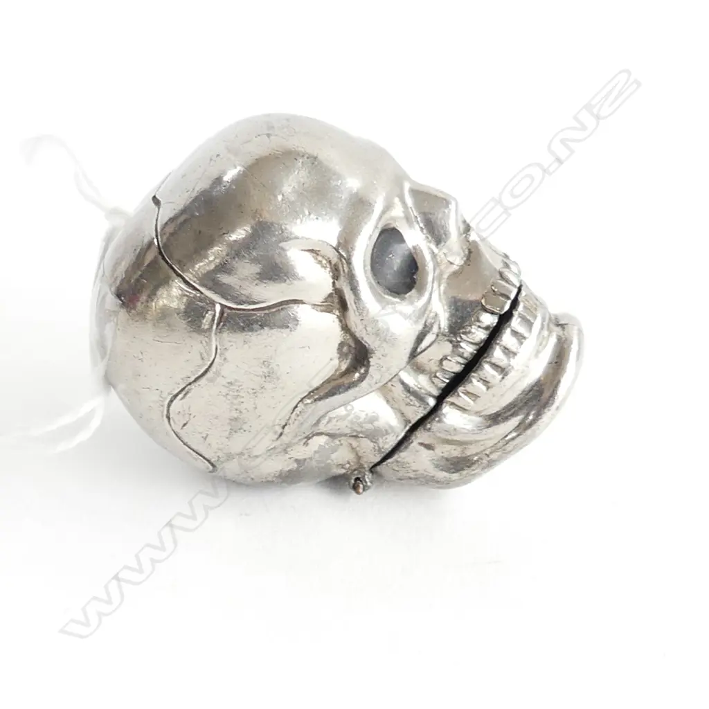  SILVER PLATE SKULL VESTA CASE Image 1++