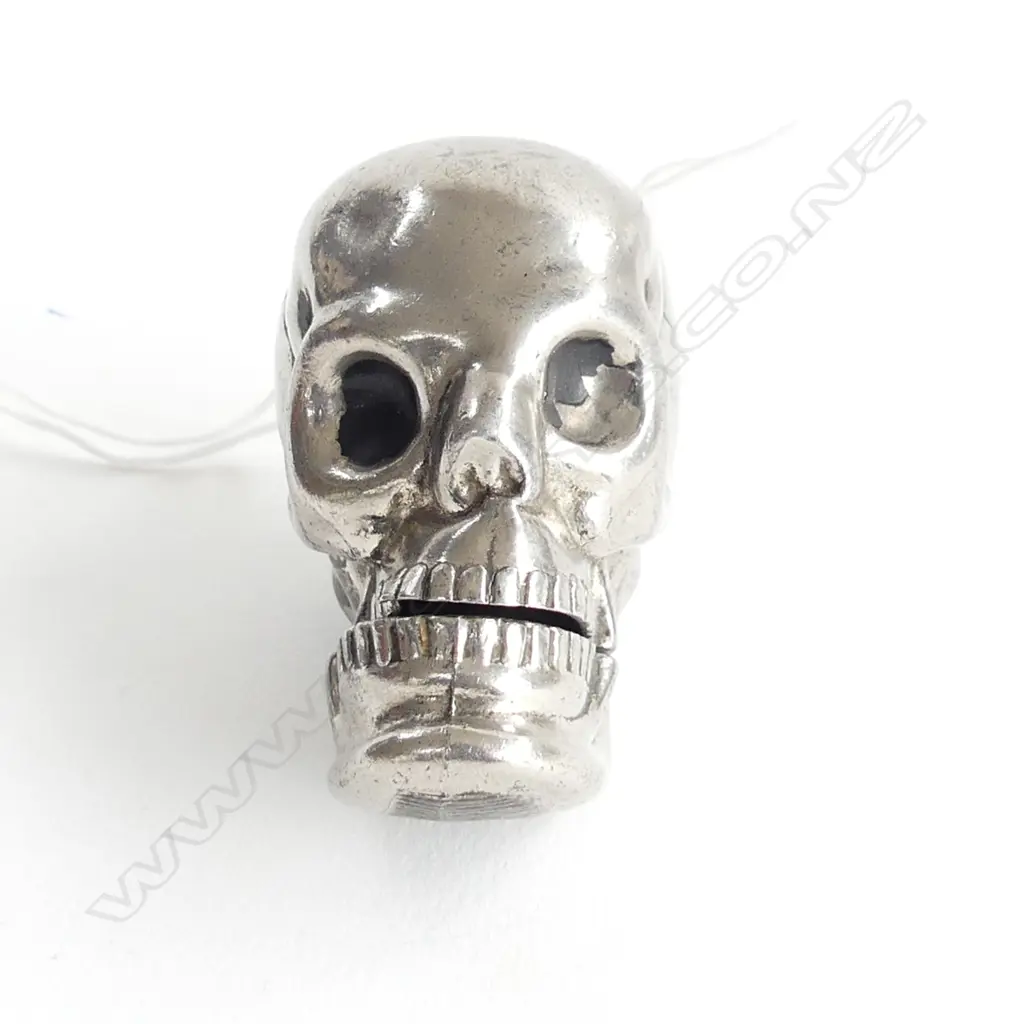  SILVER PLATE SKULL VESTA CASE Image 1++