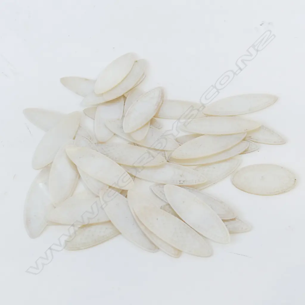 OVAL MoP GAME COUNTERS 50x15mm Image 1++