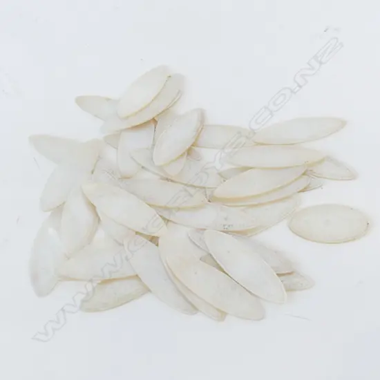 OVAL MoP GAME COUNTERS 50x15mm