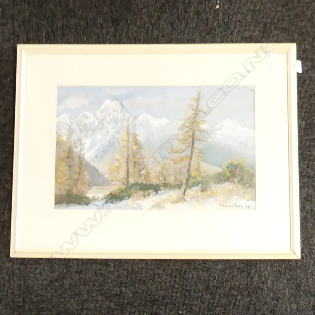 K AIRINI VANE 'MT EDWARDS FROM HERMITAGE SHRUBBERY' GOUACHE ON PAPER '57 265x430mm Image 1++
