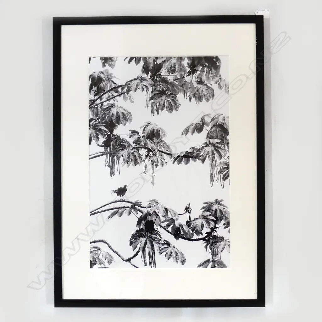 GREGORY BASCO (USA) CHACHALACASCAPE, B&W PHOTOGRAPHIC PRINT 350 X 520mm Image 1++